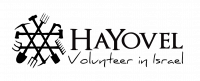 HY-logo-2